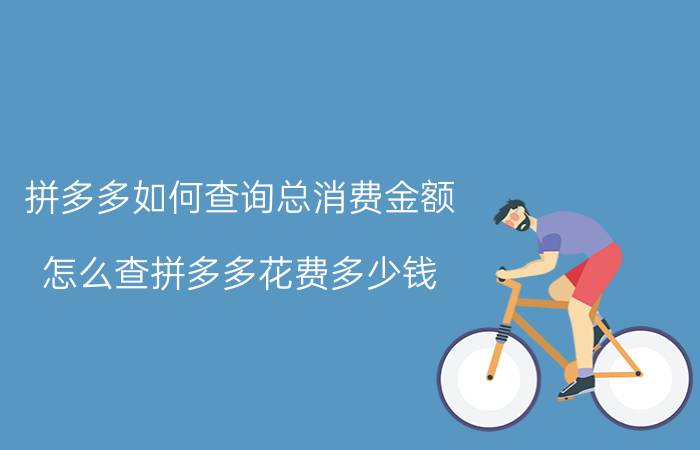 拼多多如何查询总消费金额 怎么查拼多多花费多少钱？